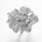Δαχτυλίδι αρραβώνων 925 λουλουδιών εξαιρετικό ασημένιο διπλός-λουλούδι δαχτυλιδιών του CZ